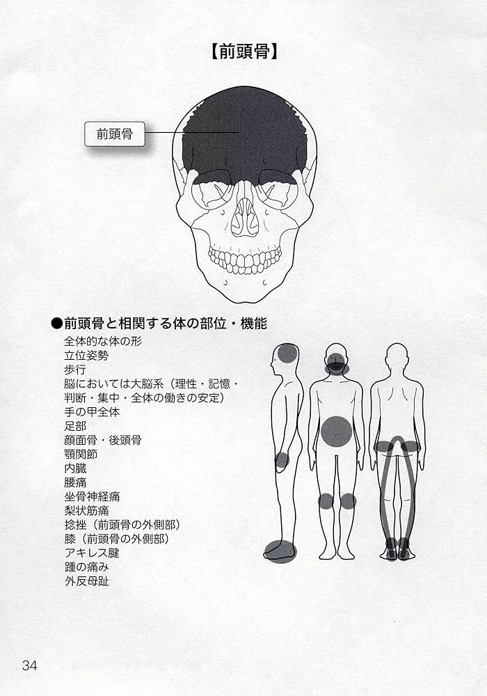 驚異の「顔面骨」テクニック ―癒道整体のすべて | 井村 和男 |本