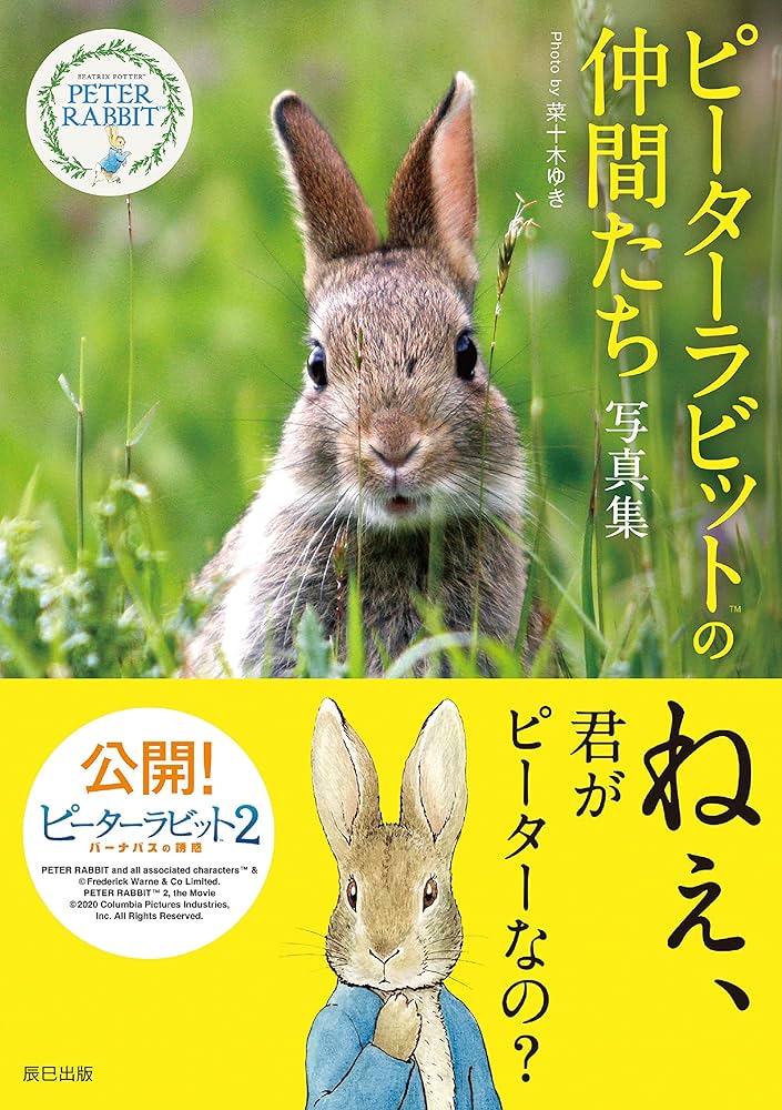 ピーターラビット™の仲間たち 写真集 | 菜十木 ゆき |本 | 通販 | Amazon