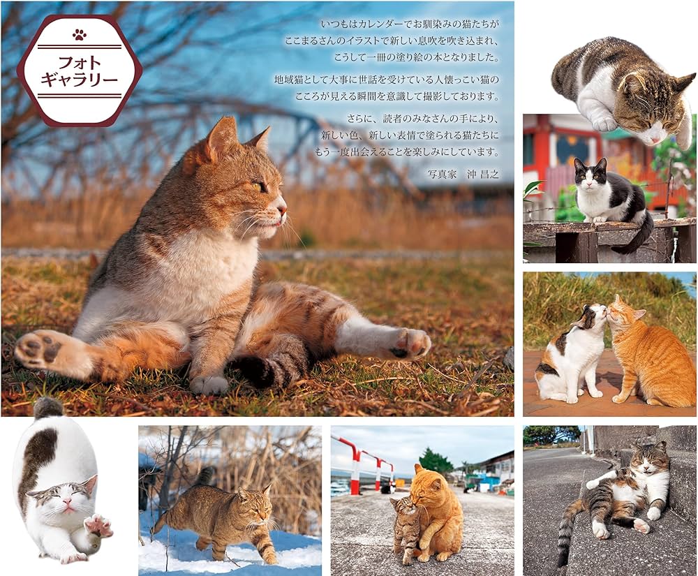 ダウンロード特典付)こだわり塗り絵シリーズ そとねこ Masayuki Oki's