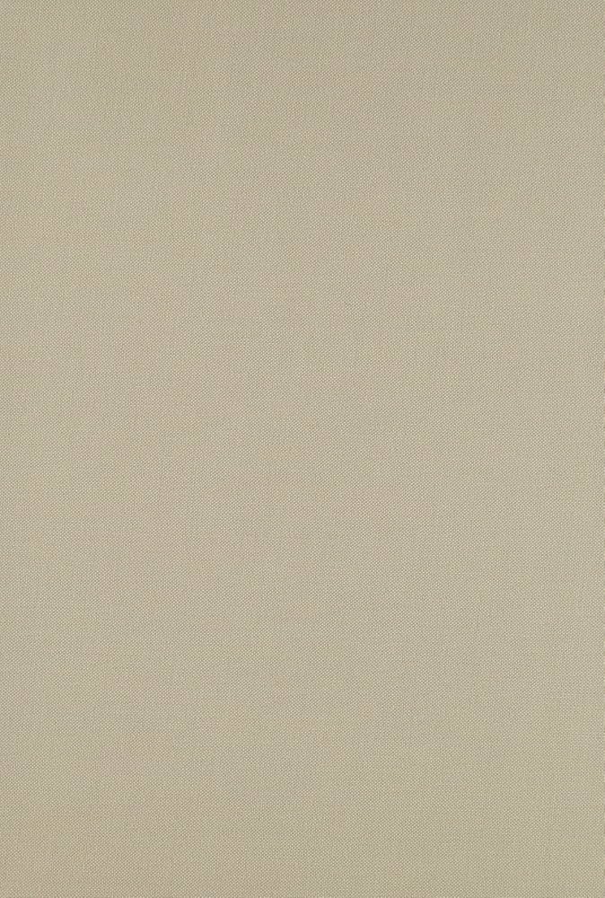 成功の実現 | 中村 天風 |本 | 通販 | Amazon
