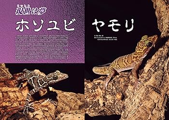 ビバリウムガイド No.110 2025年 9月号 現世は夢 ホソユビヤモリ [雑誌