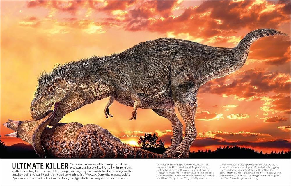 Amazon | The Dinosaur Book (DK Our World in Pictures) | DK