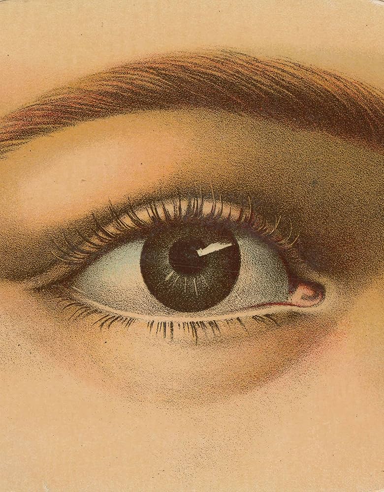 Amazon | John Derian Picture Book (John Derian Paper Goods