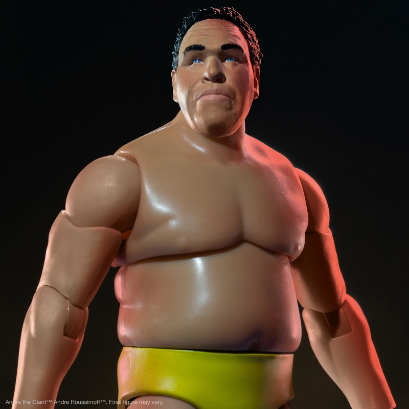 アンドレ・ザ・ジャイアント アルティメイト 8インチ アクション