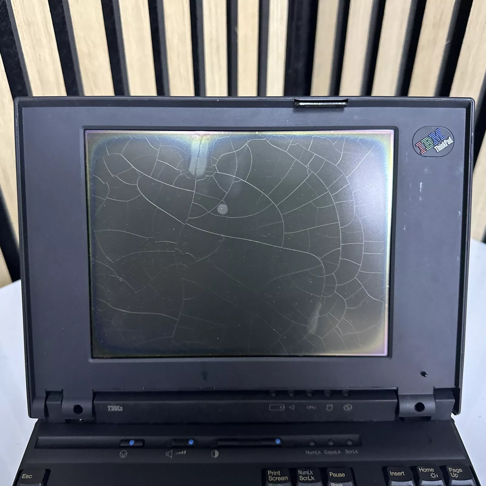 IBM ThinkPad 230cs - MacDat