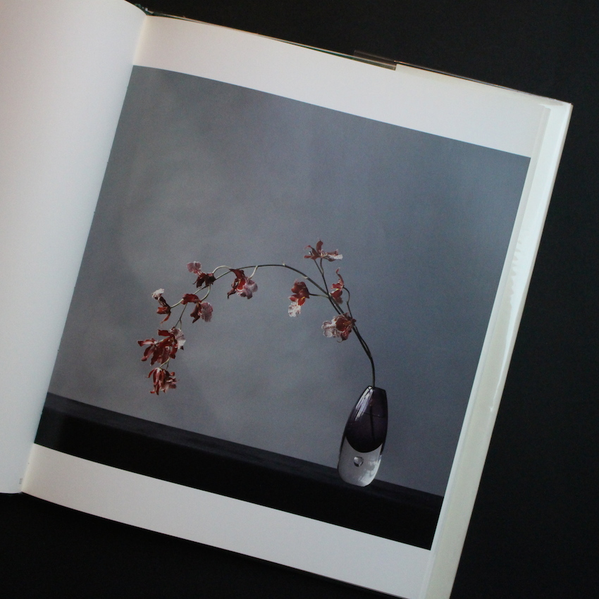 Flowers - Robert Mapplethorpe