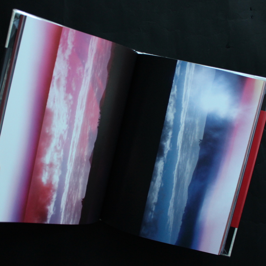 Abandom Reverie - Mark Borthwick