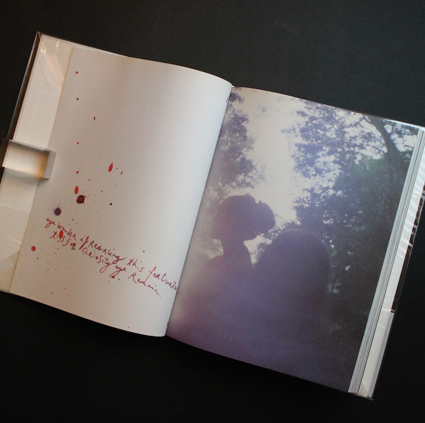 The Heart Land（With OBI） - Mark Borthwick