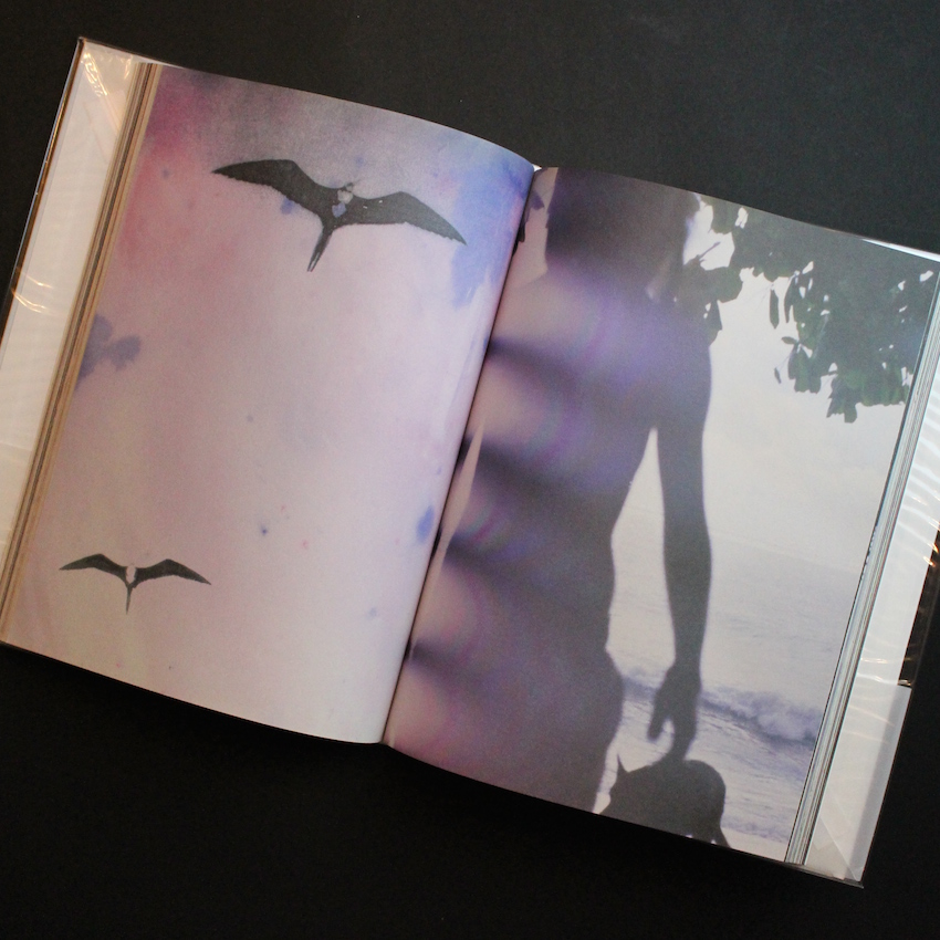 The Heart Land（With OBI） - Mark Borthwick