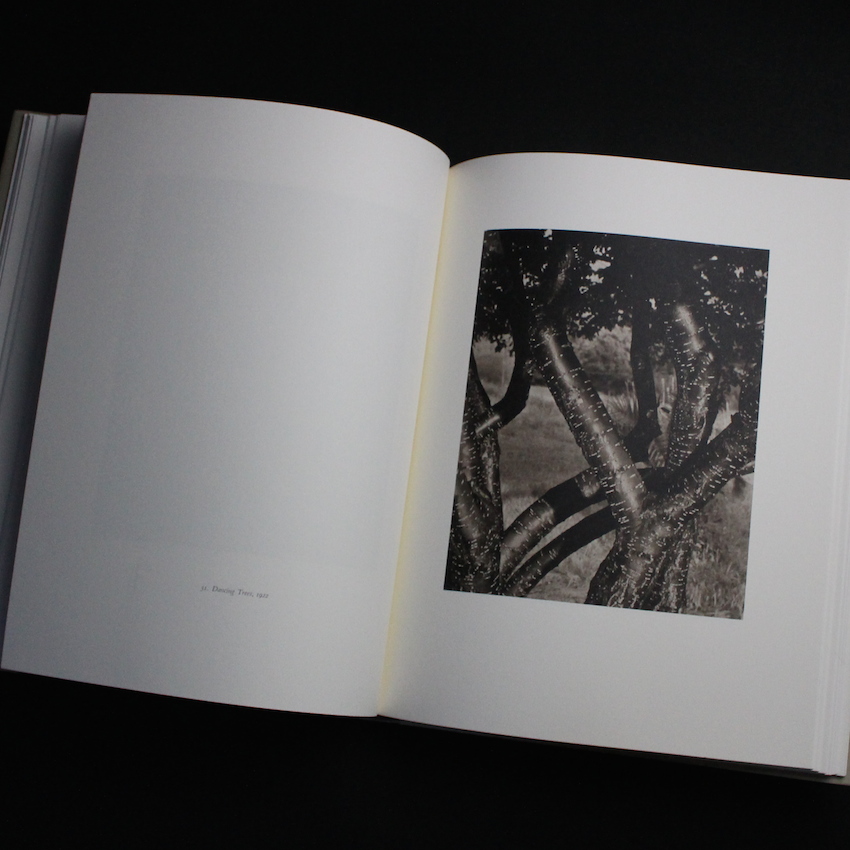 Alfred Stieglitz -Photographs & Writings- - Alfred Stieglitz