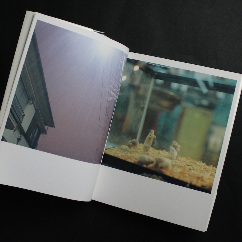 うたたね（First Edition, First Printing, Signed） - 川内 倫子