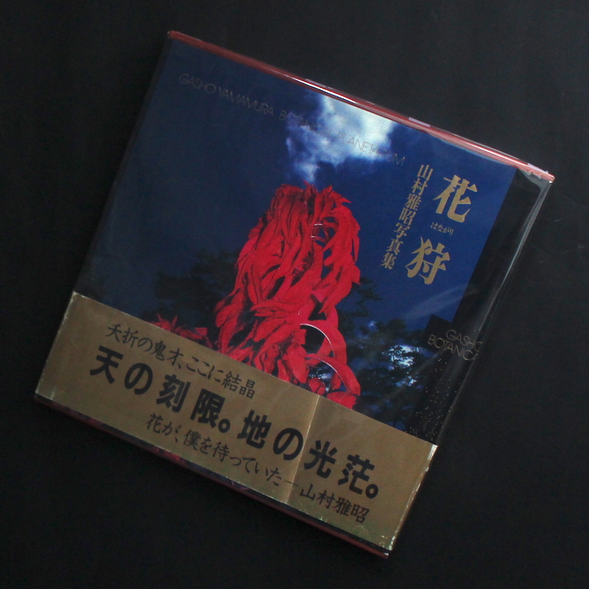 花狩 / Botanical Planetarium（With OBI） - 山村 雅昭 / Gasho Yamamura