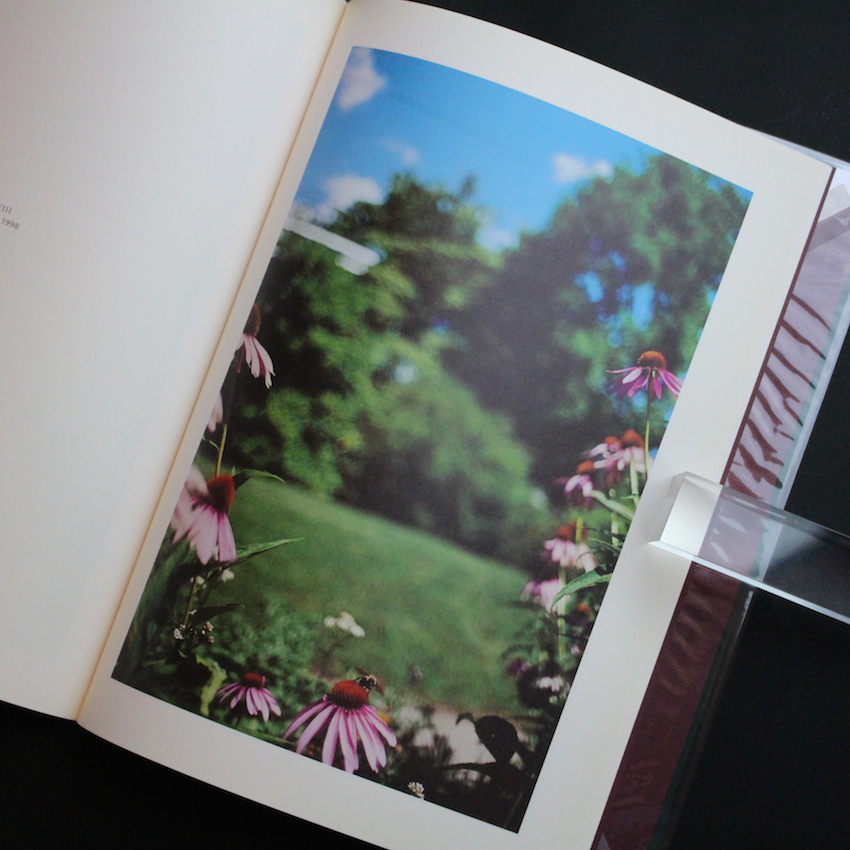 Hunter Green - Terri Weifenbach