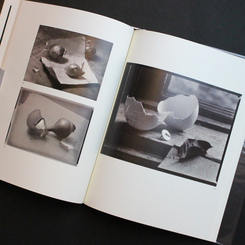 Still Lifes - Josef Sudek