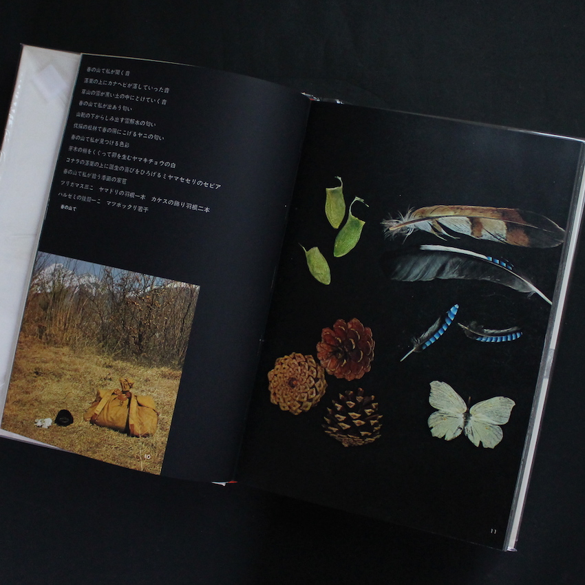 山の意匠 / Mountain Design - 田淵 行男 / Yukio Tabuchi