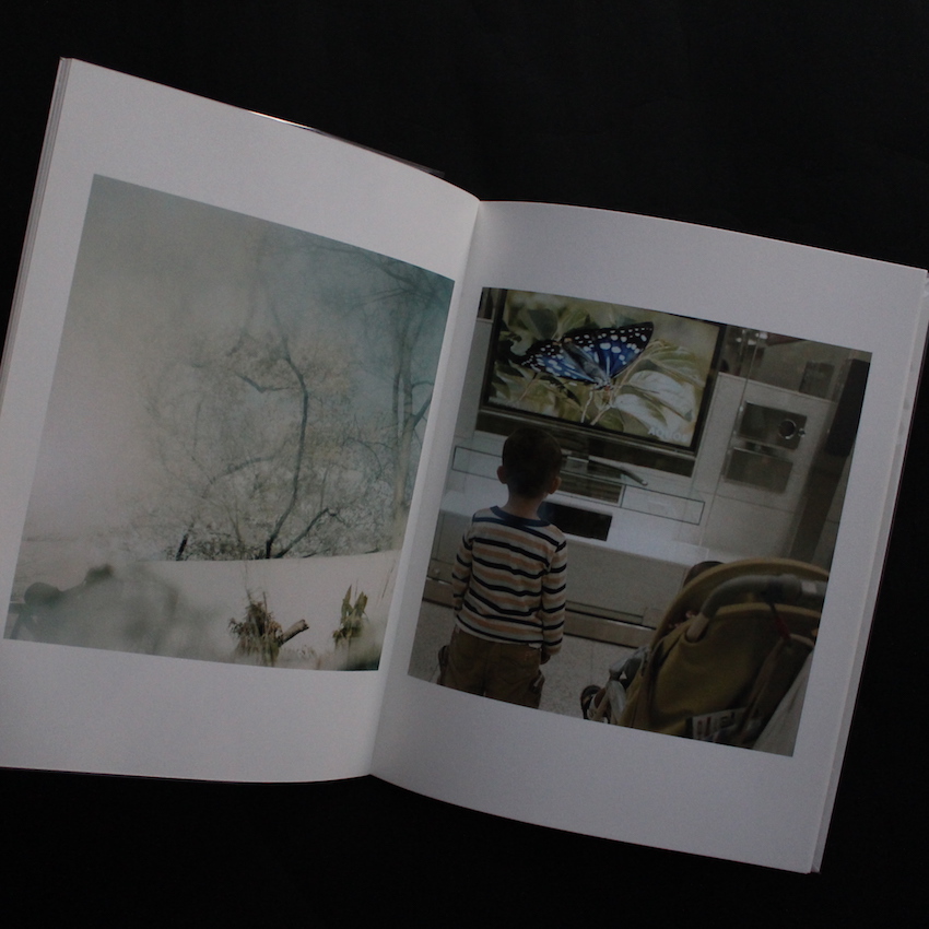 These are days - 原 美樹子 / Mikiko Hara