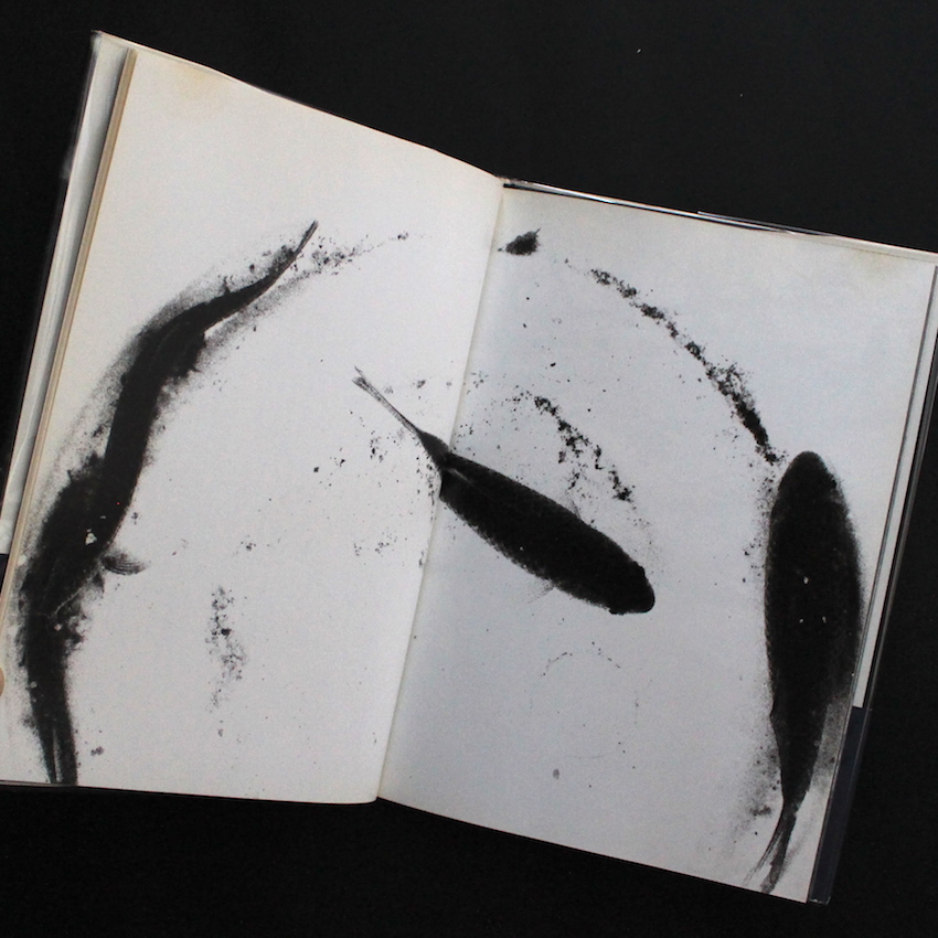 新たなる凝視 / New Gaze（First Edition, With OBI） - 中平 卓馬