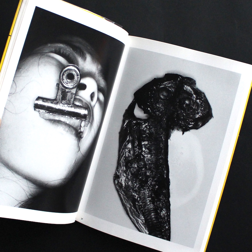荒木経惟写真全集16 エロトス / Erotos - 荒木 経惟 / Nobuyoshi Araki