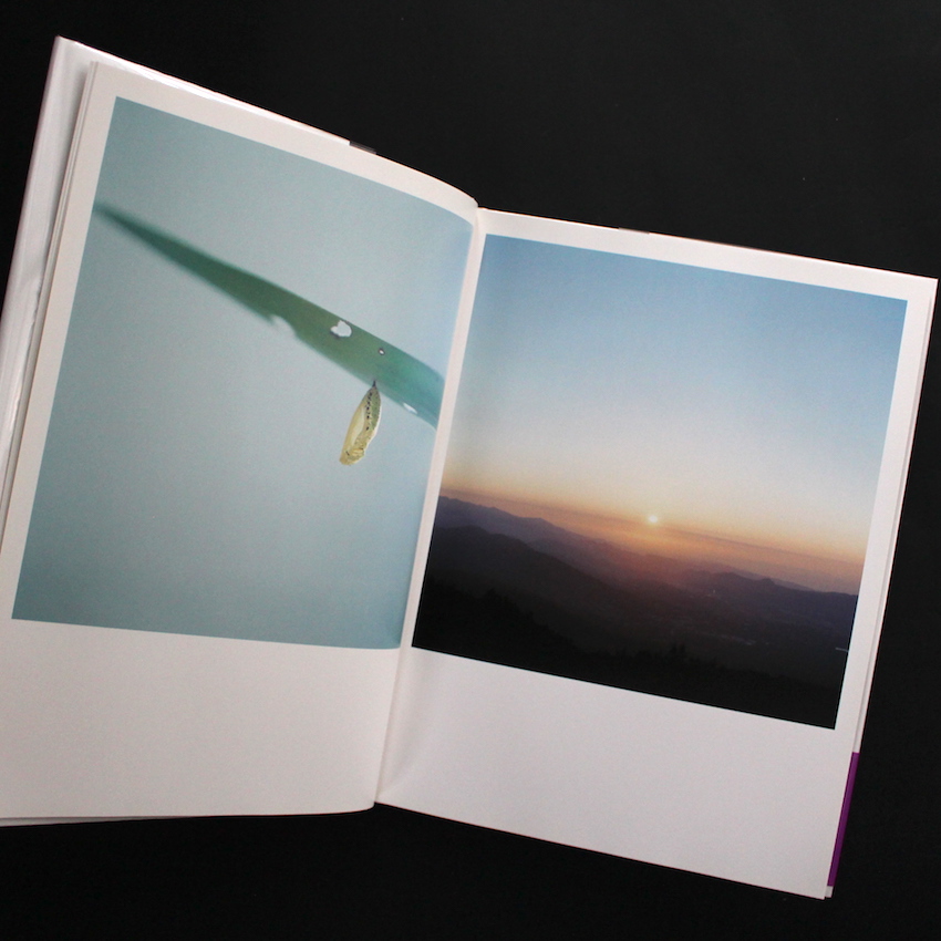 アイーラ（改訂版, 署名） / Aila（Revise Edition, Signed） - 川内