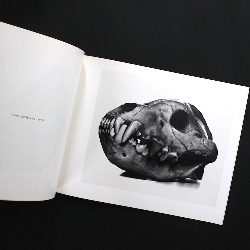 Cranium Architecture - Irving Penn