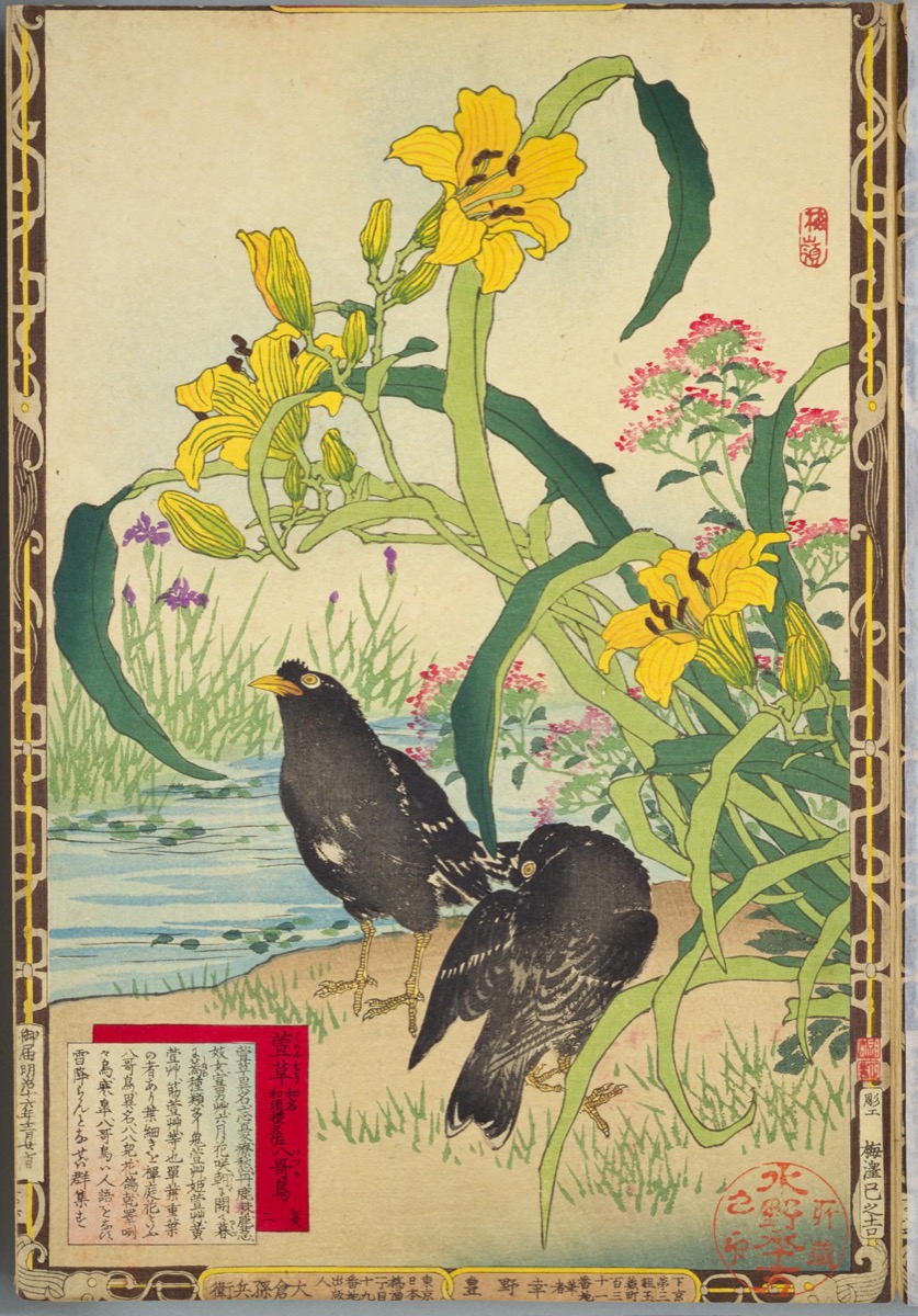 楳嶺花鳥画譜 萱草・八哥鳥 | - Japaaan