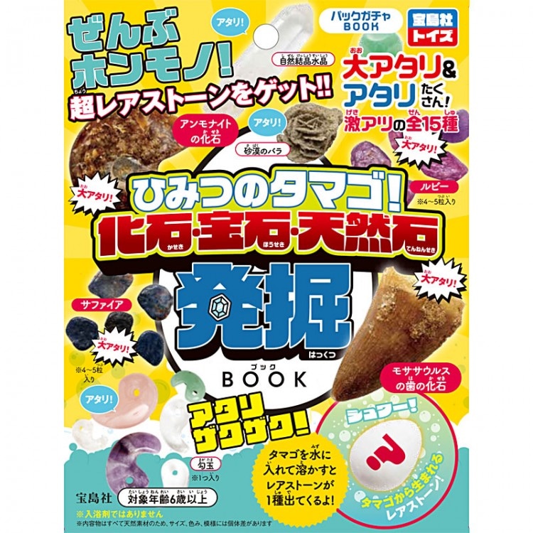 ひみつのタマゴ! 化石・宝石・天然石発掘BOOK | 商品カテゴリ一覧