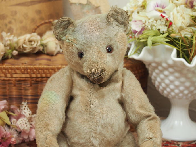 シュタイフ アンティーク テディベア VI504 | テディベア,ビンテージ