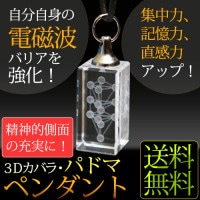 3Dカバラ パドマ（ステンレス）｜トータルヘルスデザイン公式ショップ
