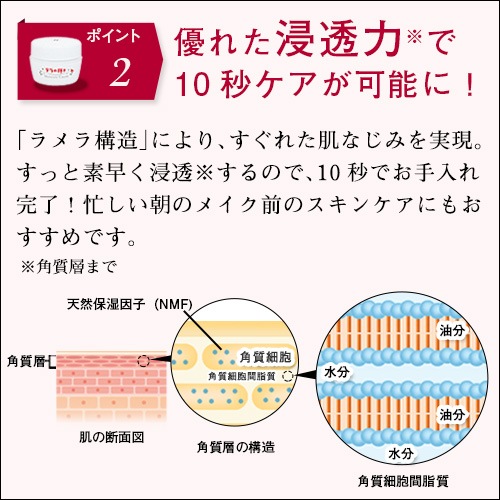 テラの輝きモイスチャークリーム 詰替パウチ400g｜トータルヘルス