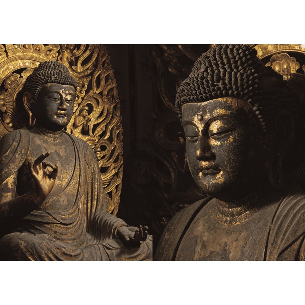 運慶 祈りの空間 興福寺北円堂 図録 2冊セット(公式図録と別冊図録