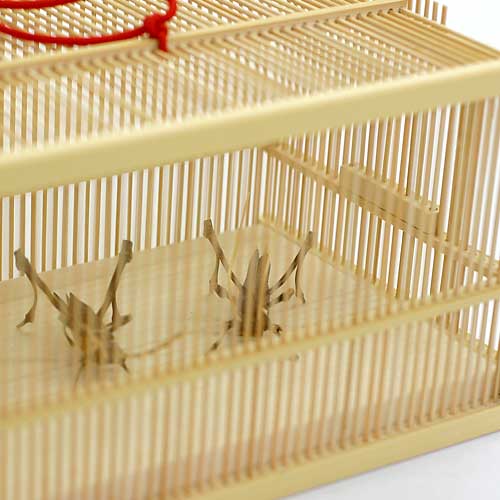 駿河竹千筋細工 角型虫篭（大） 虫籠 静岡県伝統工芸品 久保田正嘉 作