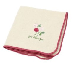 バックストン著作集 第9巻 聖書講解Ⅴ 使徒行伝講義 上 （18440