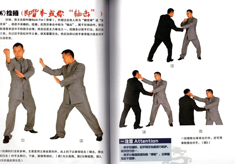 ブルース・リー 李小龍 ジークンドー 武術・太極拳・気功・中国語書籍+