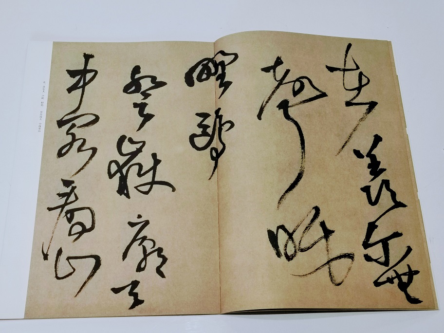王鐸 贈張抱一草書詩巻 中国最も代表的な書法作品拡大本シリーズ 中国