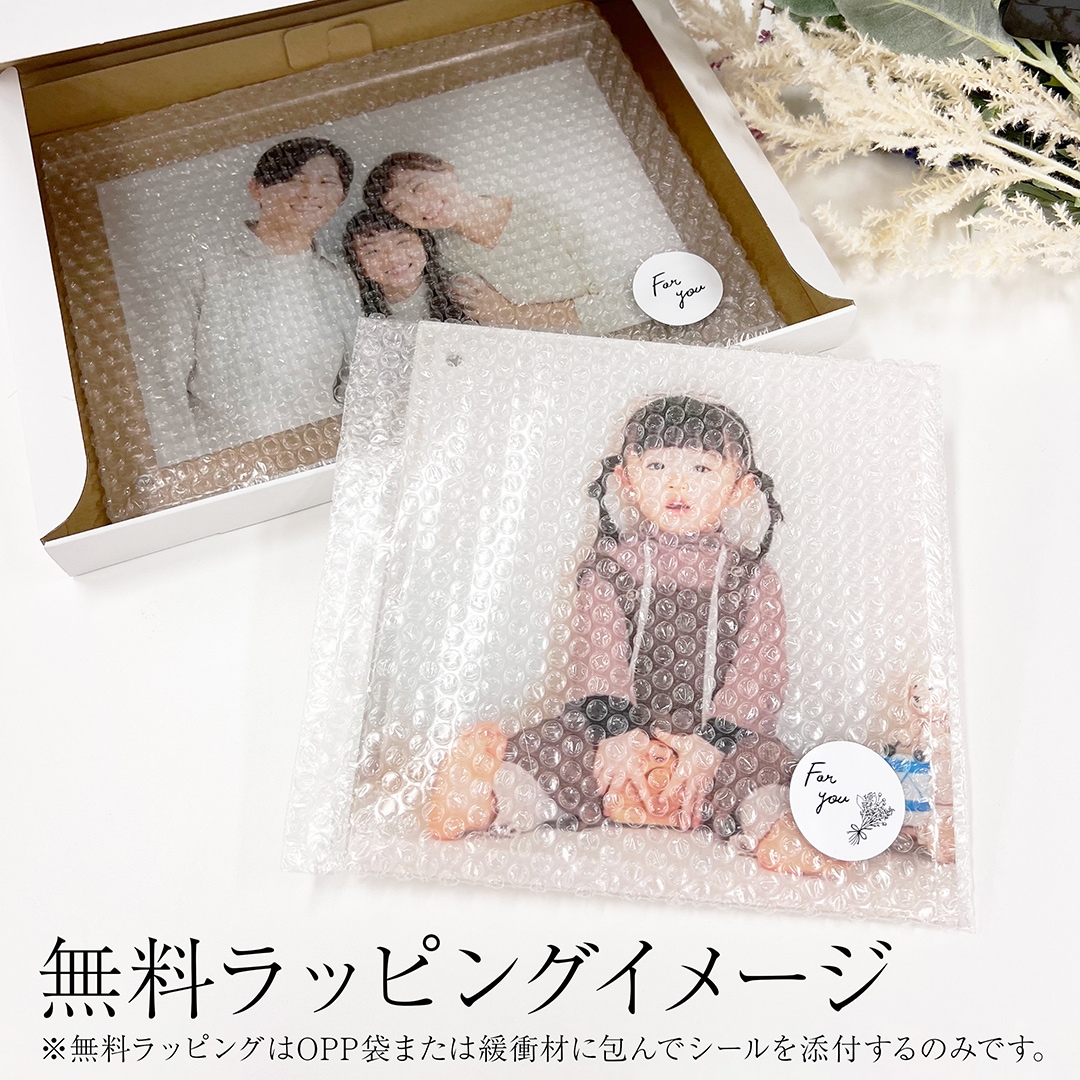 LLサイズ（たて型） 【公式】アクリルフォトパネル Acrily(アクリリ)