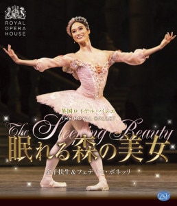 鑑賞用DVD