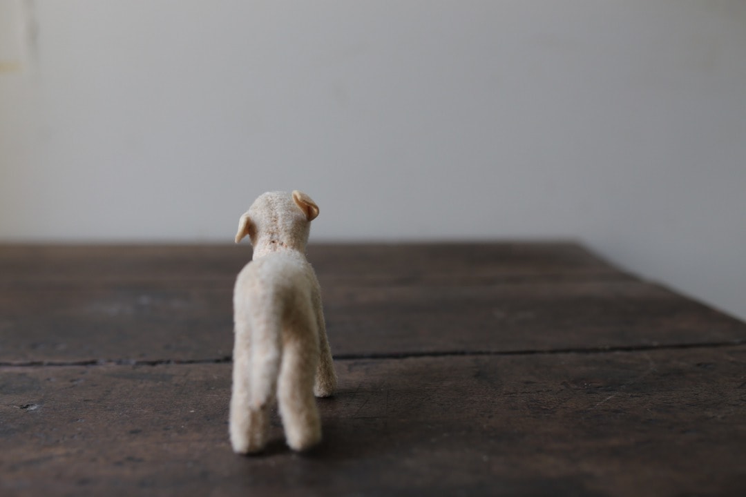 シュタイフ 羊の“ランビー” ｜ D+EMARKET Online