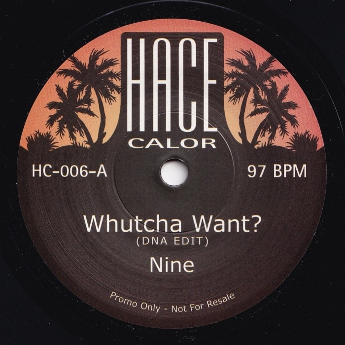 Nine /Domino / Whutcha Want?/Ghetto Jam(DNA EDIT) | Hip Hop／R&B