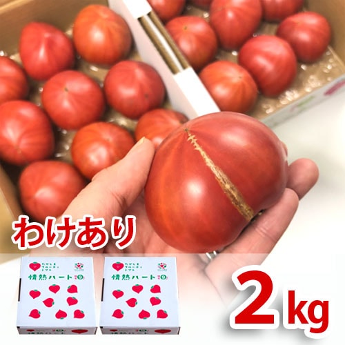 産地直送 わけあり純情ハート3.5kg(糖度7度以上)たかしまフルーティ