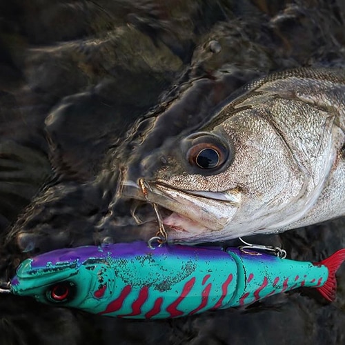 ネコポス不可】ジョインテッドクローマグナム230（Floating） | すべて