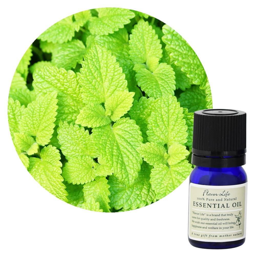 フレーバーライフ】メリッサ（レモンバーム）｜エッセンシャルオイル