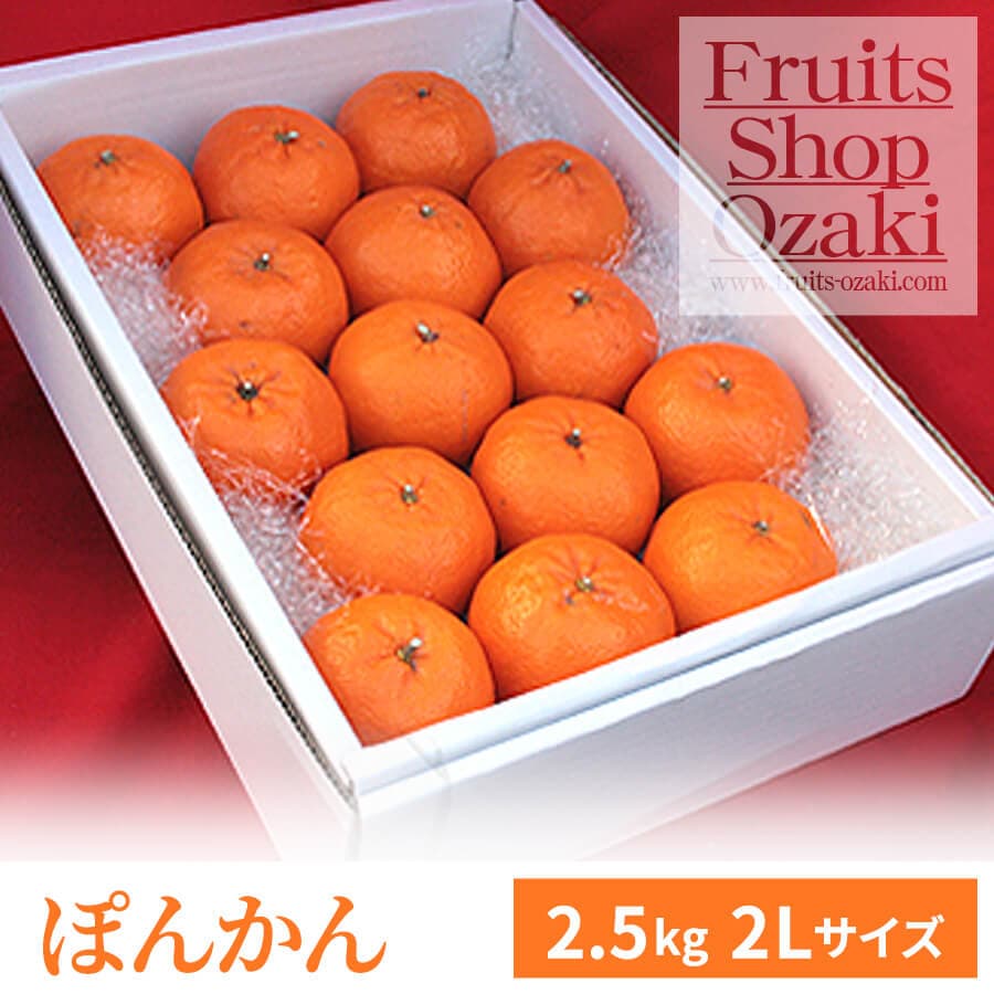 ぽんかん Lサイズ 5K | 春 Spring fruits,ぽんかん | | フルーツ