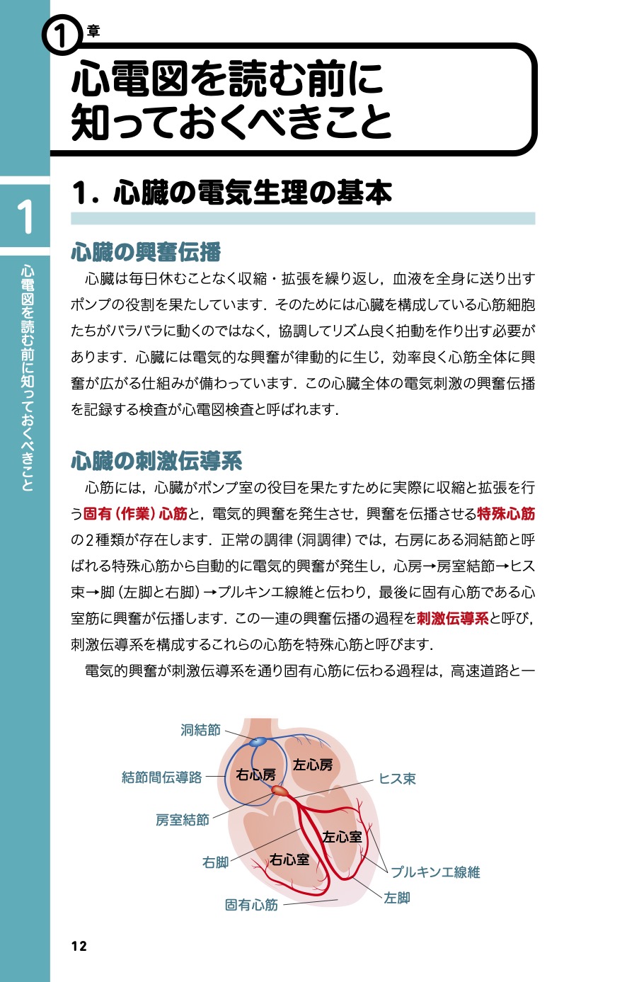 診療現場ですぐ役立つ！犬と猫の心電図 増補改訂版 | 臨床獣医学,検査