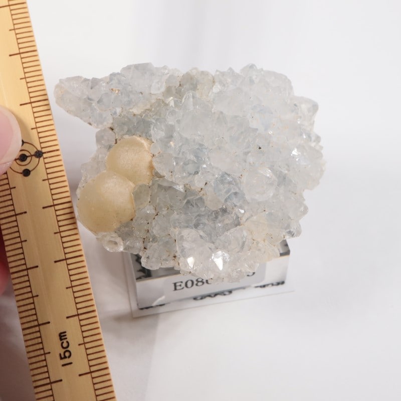 インド産 フローライト、クォーツ | 鉱物標本,ハ行,フローライト/蛍石