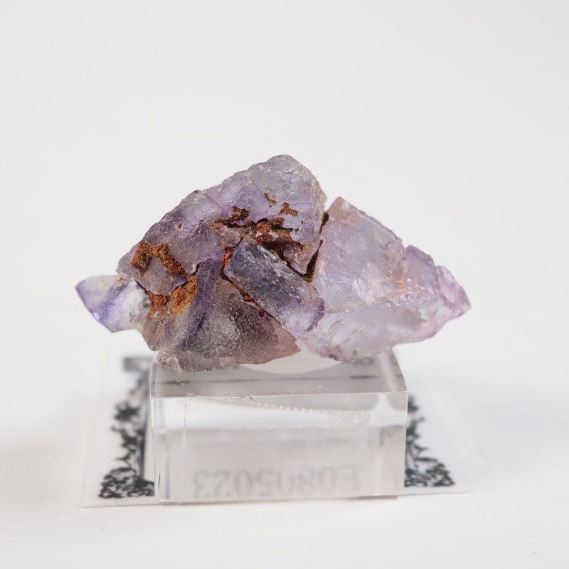 メキシコ産 フローライト | 鉱物標本,ハ行,フローライト/蛍石 | ほたる