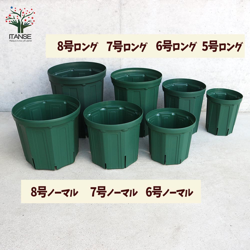 スリット鉢【資材 6号ロングサイズ】｜ 【植物のITANSE】全品