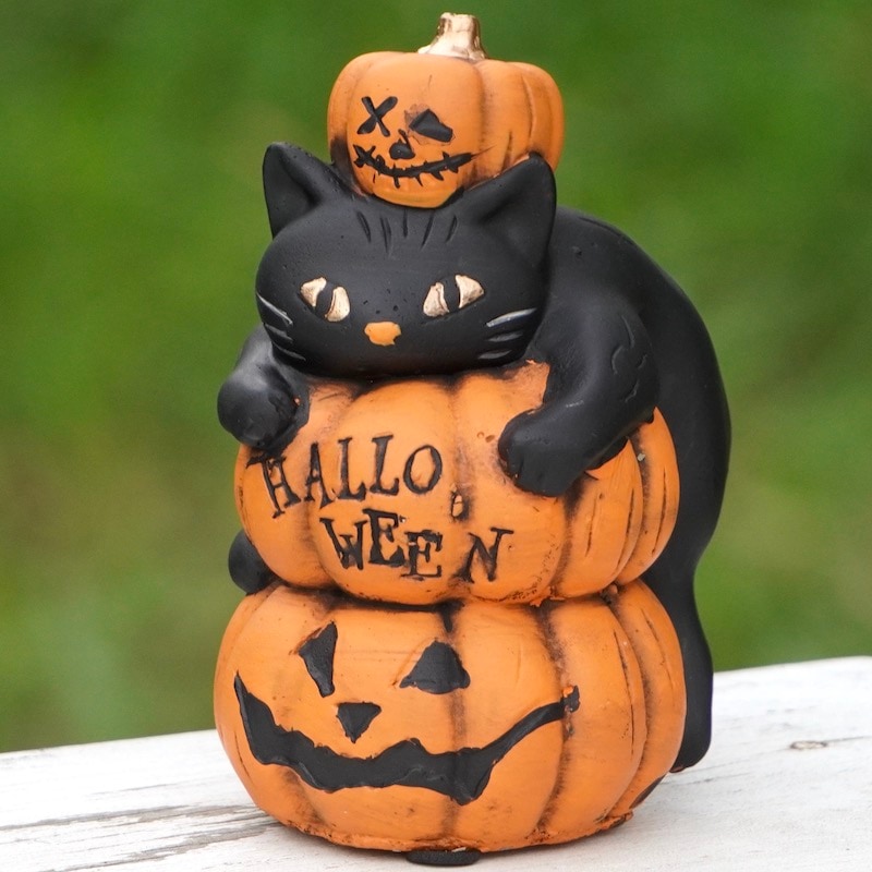 Hallowe'enパンプキンキャット