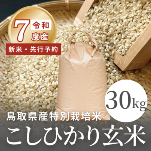 令和7年度産・新米【早期予約】鳥取県産 特別栽培米 こしひかり玄米30kg