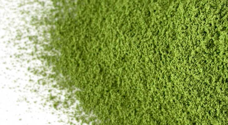 薄茶] 茶和（さわ）（お一人様抹茶合計1点までの購入制限、2点以上の