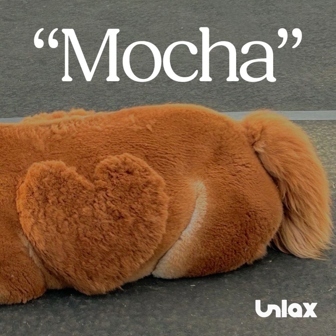 Unlax / Mocha | CD,日本,メロコア / スカパンク /レゲエロック,新品